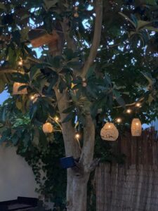 La guirlande éclairée du néflier, éclairage chaud,